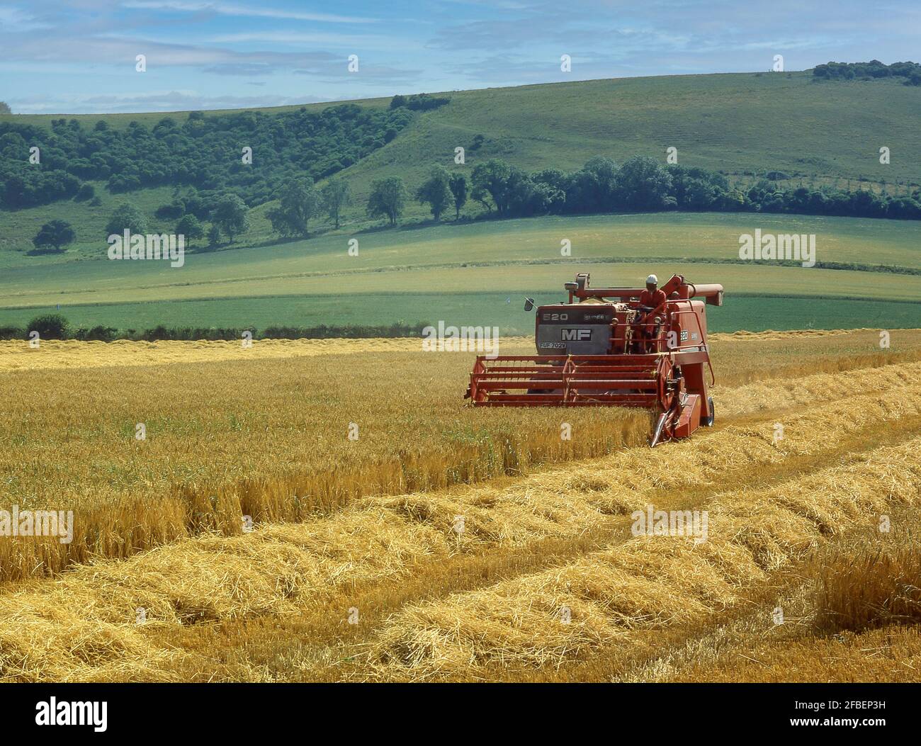 Kombinieren Sie Harvester Ernte Weizen in der Nähe von Didcot, Oxfordshire, England, Großbritannien Stockfoto