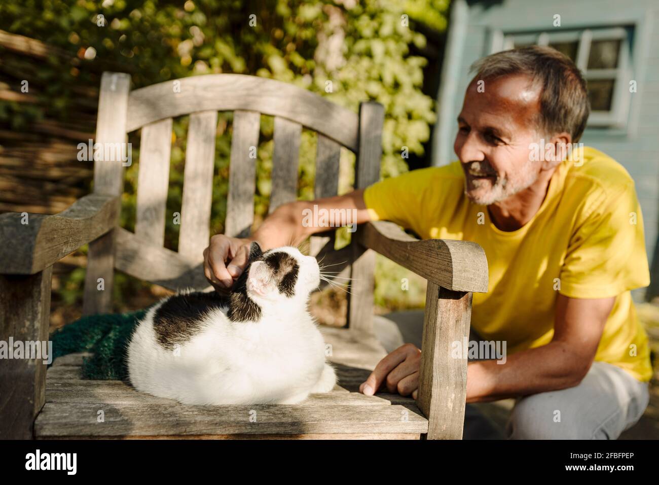 Lächelnder Mann hockt, während er eine flauschige Katze streichelt, die auf dem Sessel sitzt Im Hinterhof Stockfoto