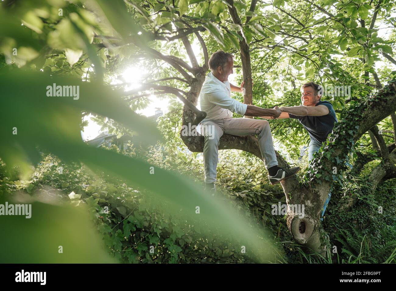 Vater hilft Sohn Baum im Hinterhof zu klettern Stockfoto
