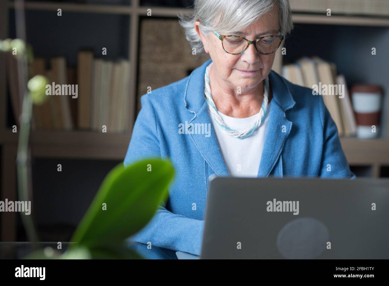 Konzentrierte Geschäftsfrau, die im Heimbüro an einem Laptop arbeitet Stockfoto