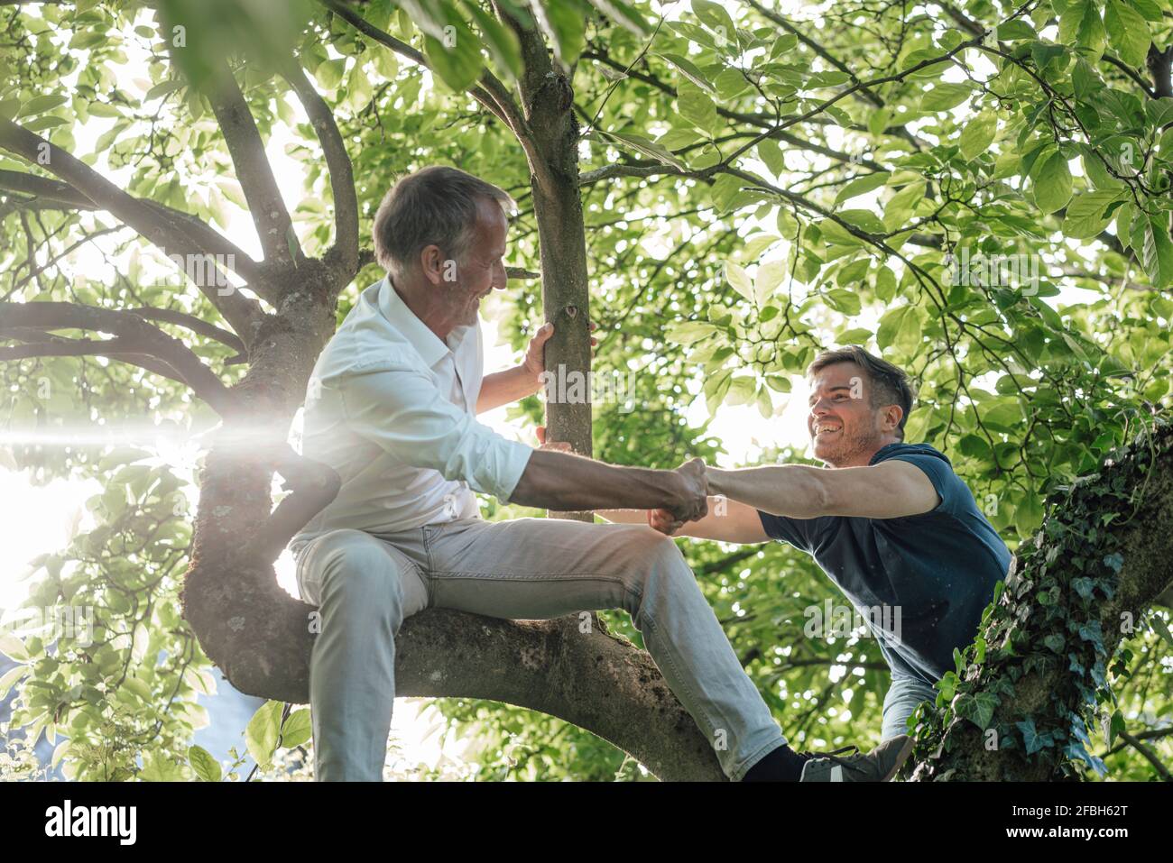 Vater unterstützt Sohn, an sonnigen Tagen auf den Baum zu klettern Stockfoto