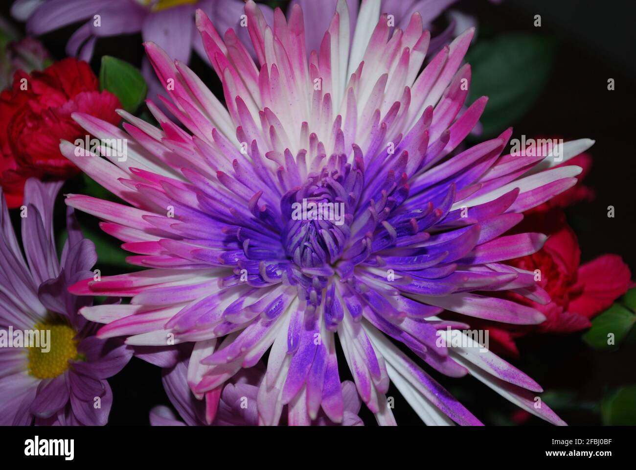 Blumenstrauß Stockfoto