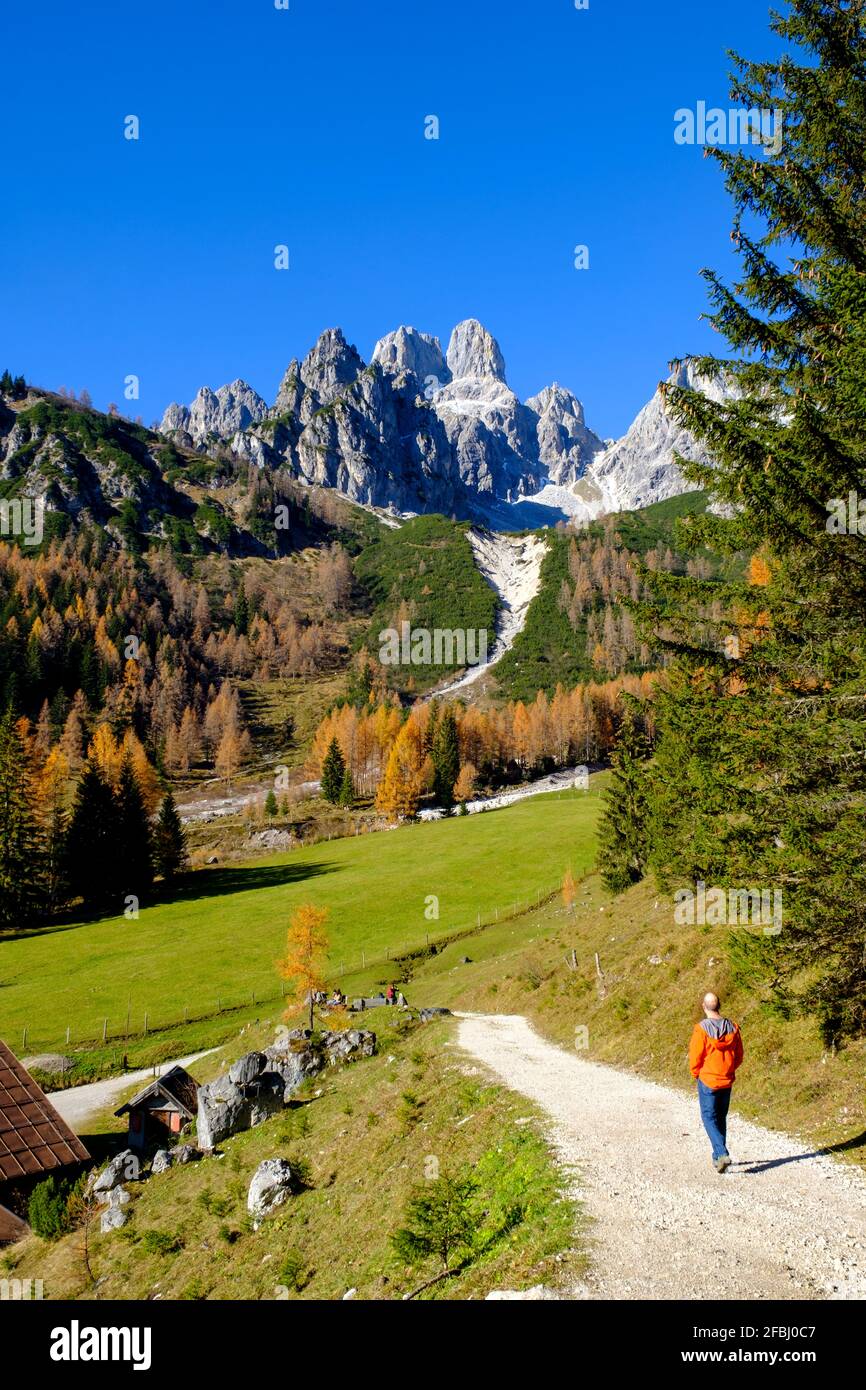 Männlicher Wanderer auf unbefestigten Straßen, die in Richtung idyllisches Tal in der Gosaukamm-Bergkette führen Stockfoto