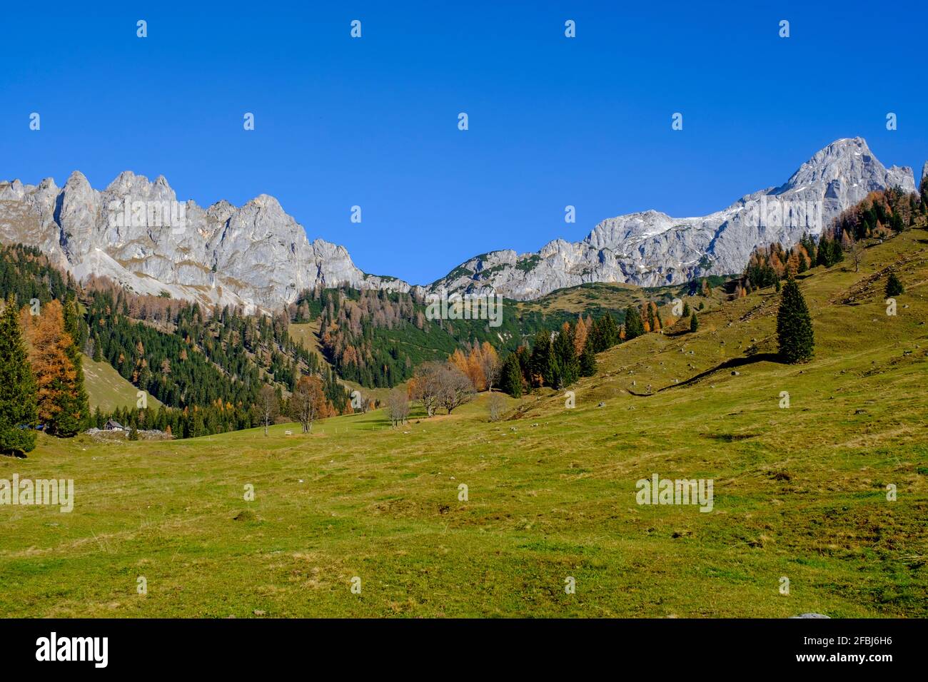 Gosaukamm Bergkette an sonnigen Tagen Stockfoto