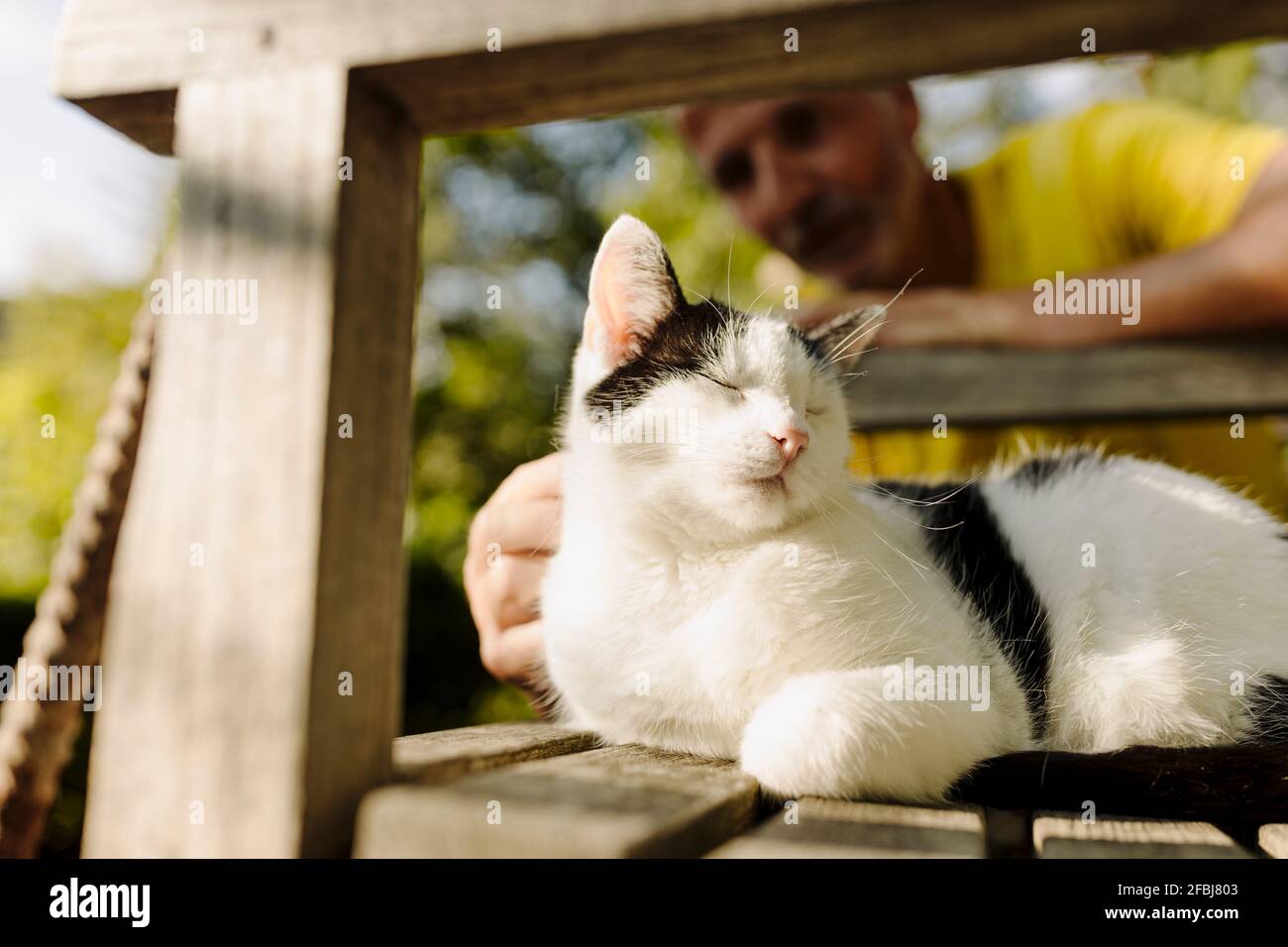 Mann streichelte Katze, die mit geschlossenen Augen auf dem Stuhl saß Hinterhof Stockfoto