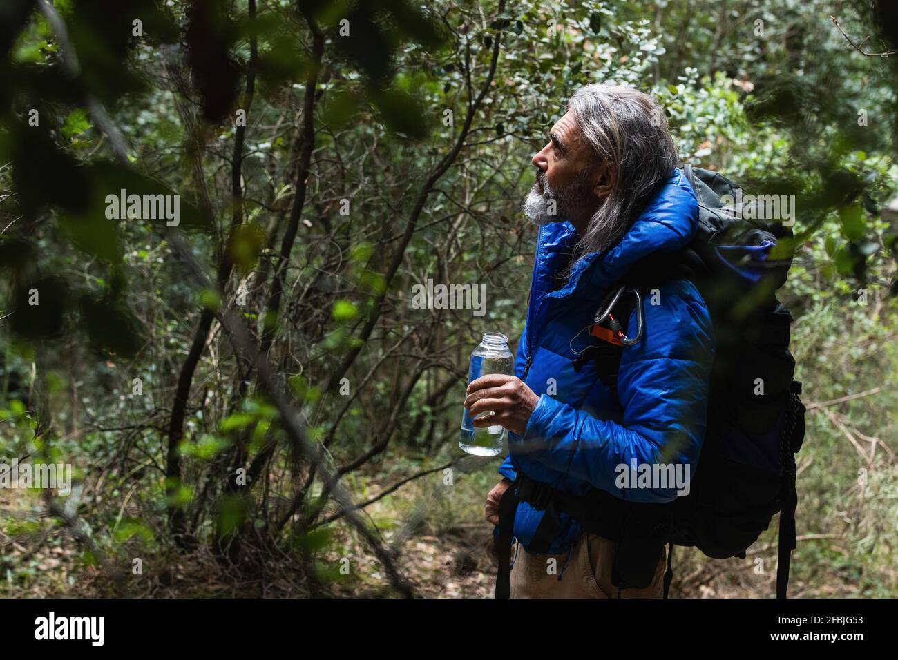 Ältere männliche Forscher, die Pflanzen betrachten, während sie eine Wasserflasche halten Im Wald Stockfoto