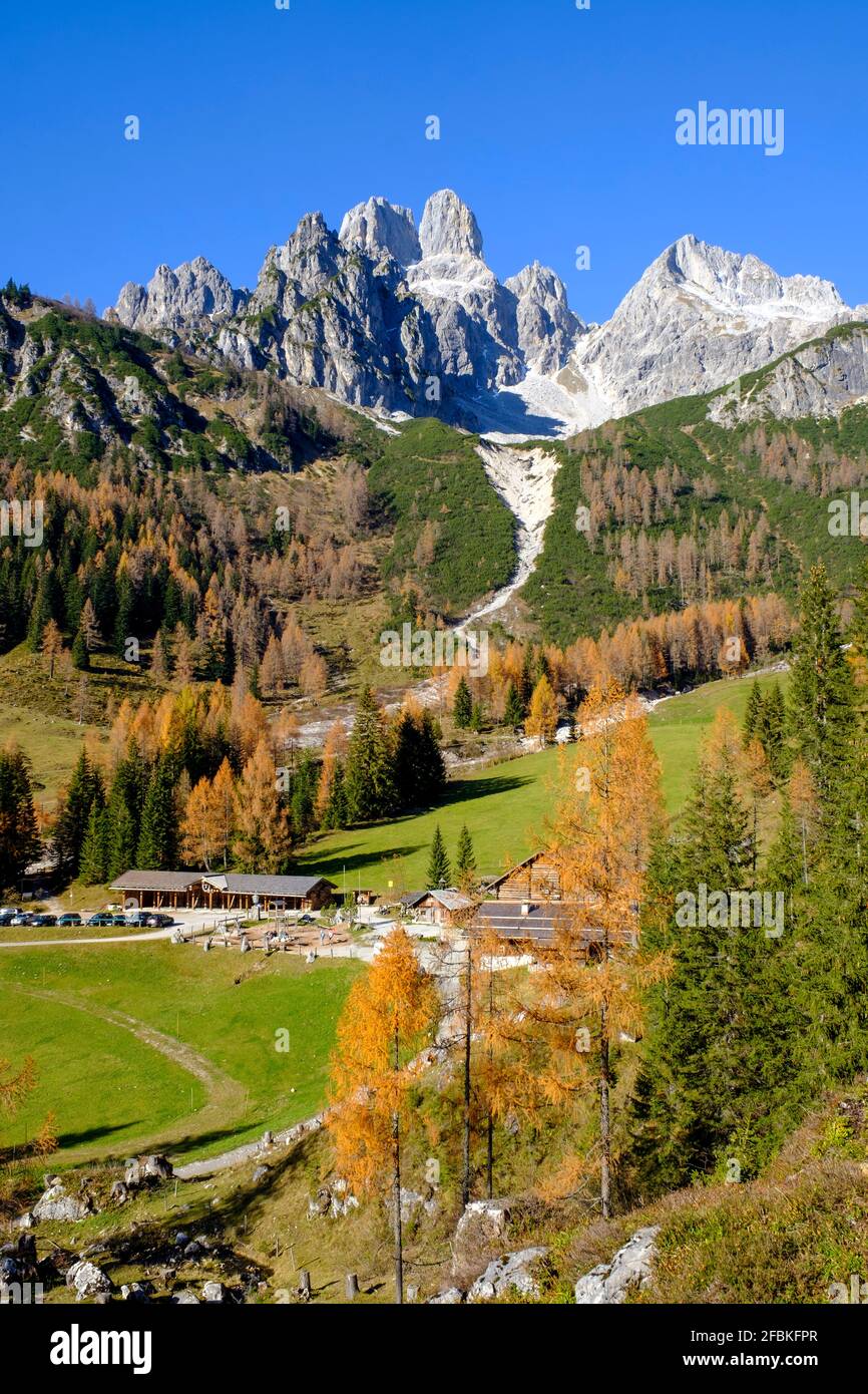Unterhof Alm im Tal der Gosaukamm Bergkette Stockfoto