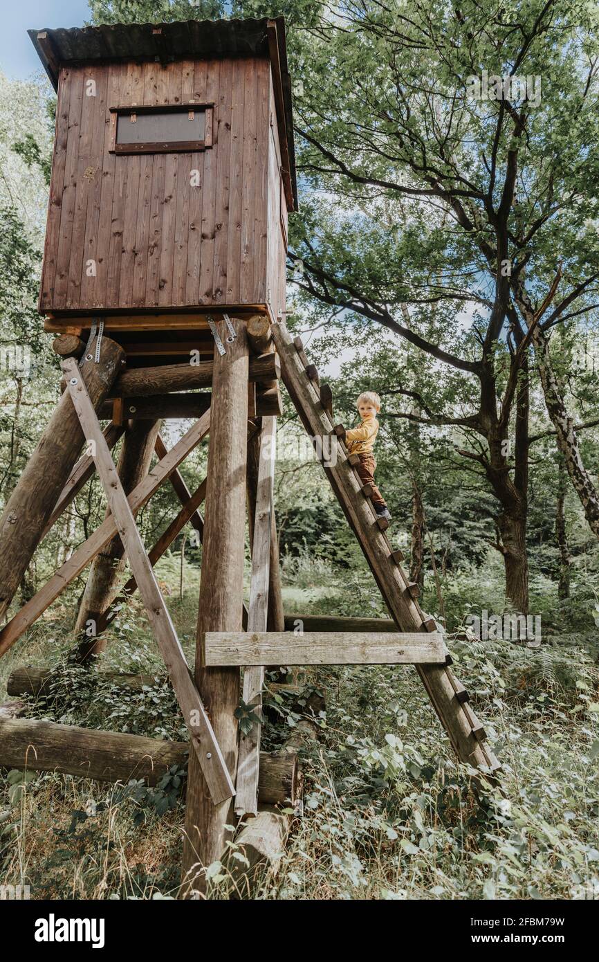 Vorschulkinder Junge klettert Leiter des hohen Sitzes im Wald Stockfoto