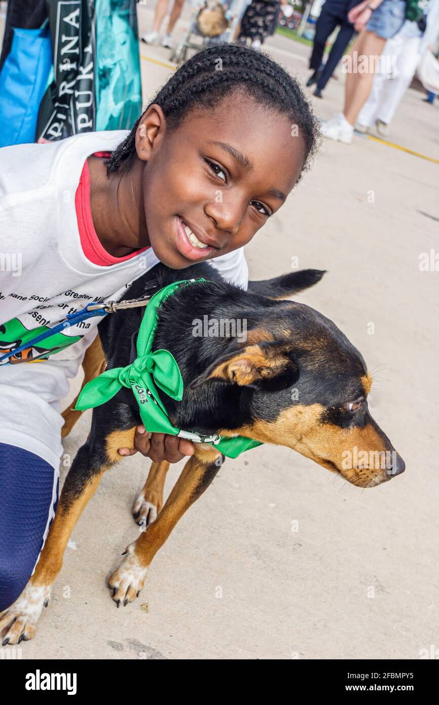 Miami Florida, Bayfront Park Walk für die Tiere, Humane Society Fundraising Event Hunde, Schwarzes Mädchen weiblich Kind Student freiwillig umarmenden Hund, Stockfoto