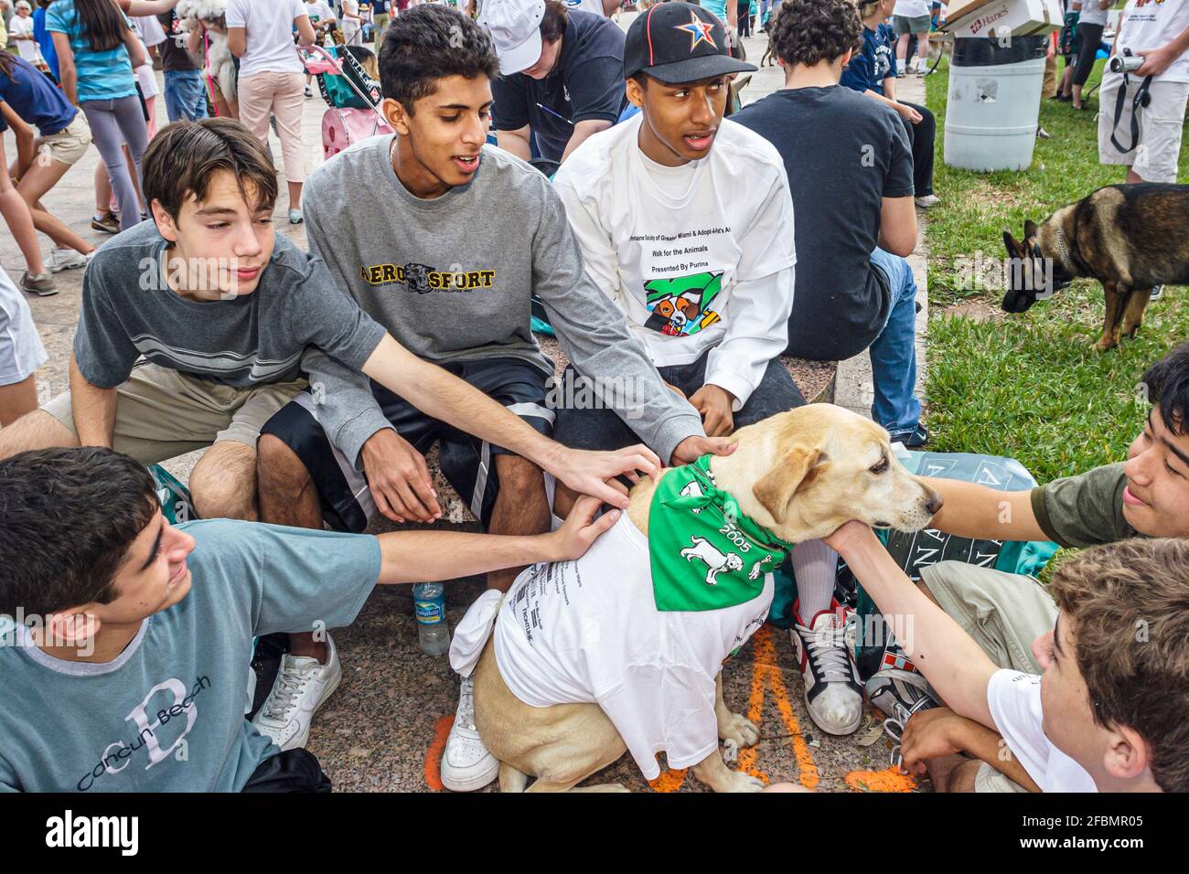 Miami Florida, Bayfront Park Walk for the Animals, Humane Society Fundraising, Teenager Jugendliche Studenten Freiwillige Jungen Hispanic Black Streichelhund Stockfoto