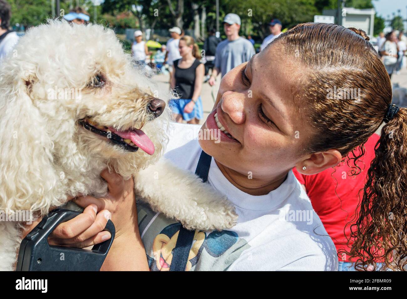 Miami Florida, Bayfront Park Walk für die Tiere, Humane Society Fundraising Event Hunde, Schwarzes Mädchen weiblich Kind Student freiwillig umarmt halten Hund, Stockfoto