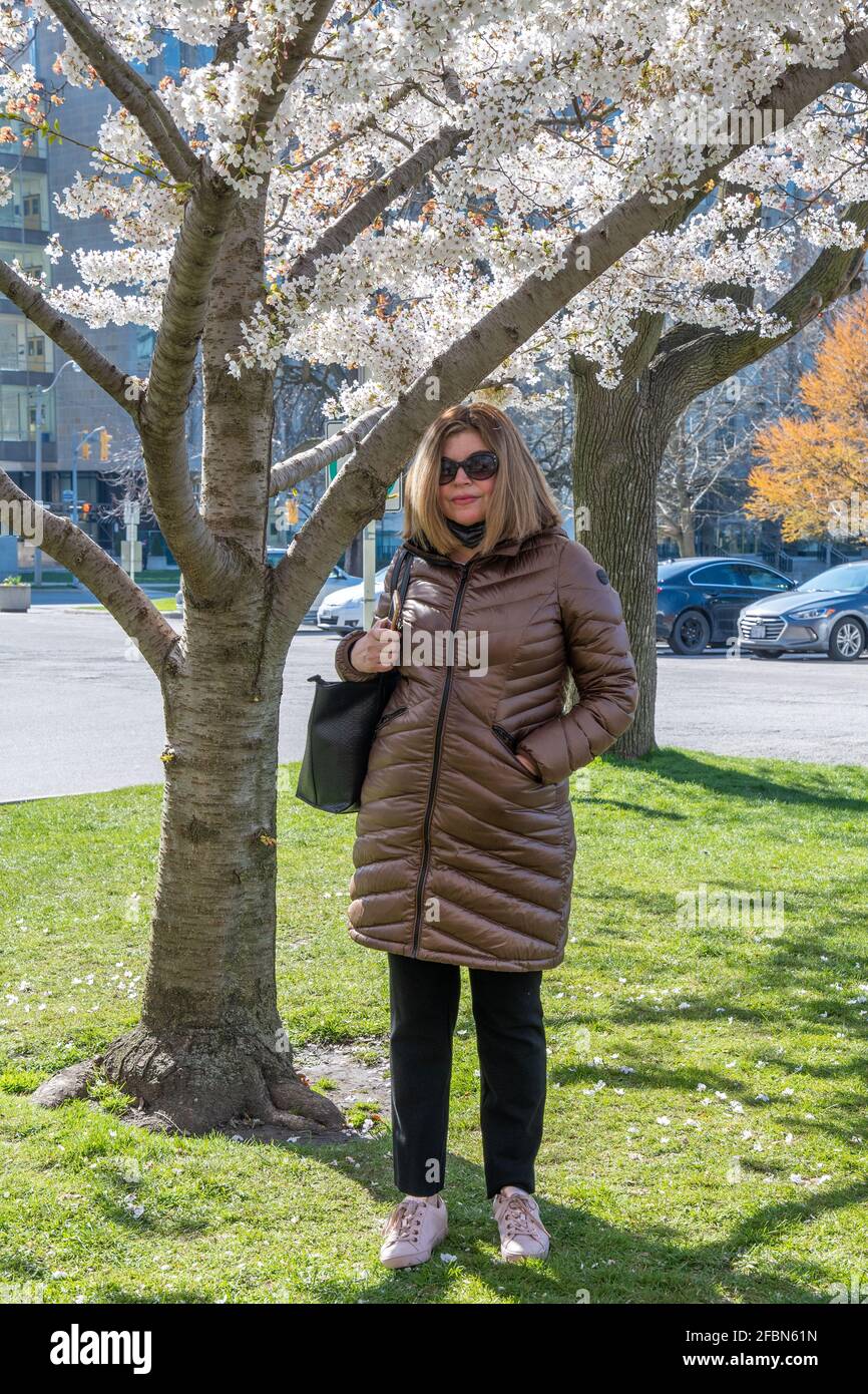 Porträt einer lateinamerikanischen Frau während der Blüte der Kirschbäume, eine lokale Tradition, die von vielen in der kanadischen Stadt gefeiert wird. Es markiert Stockfoto