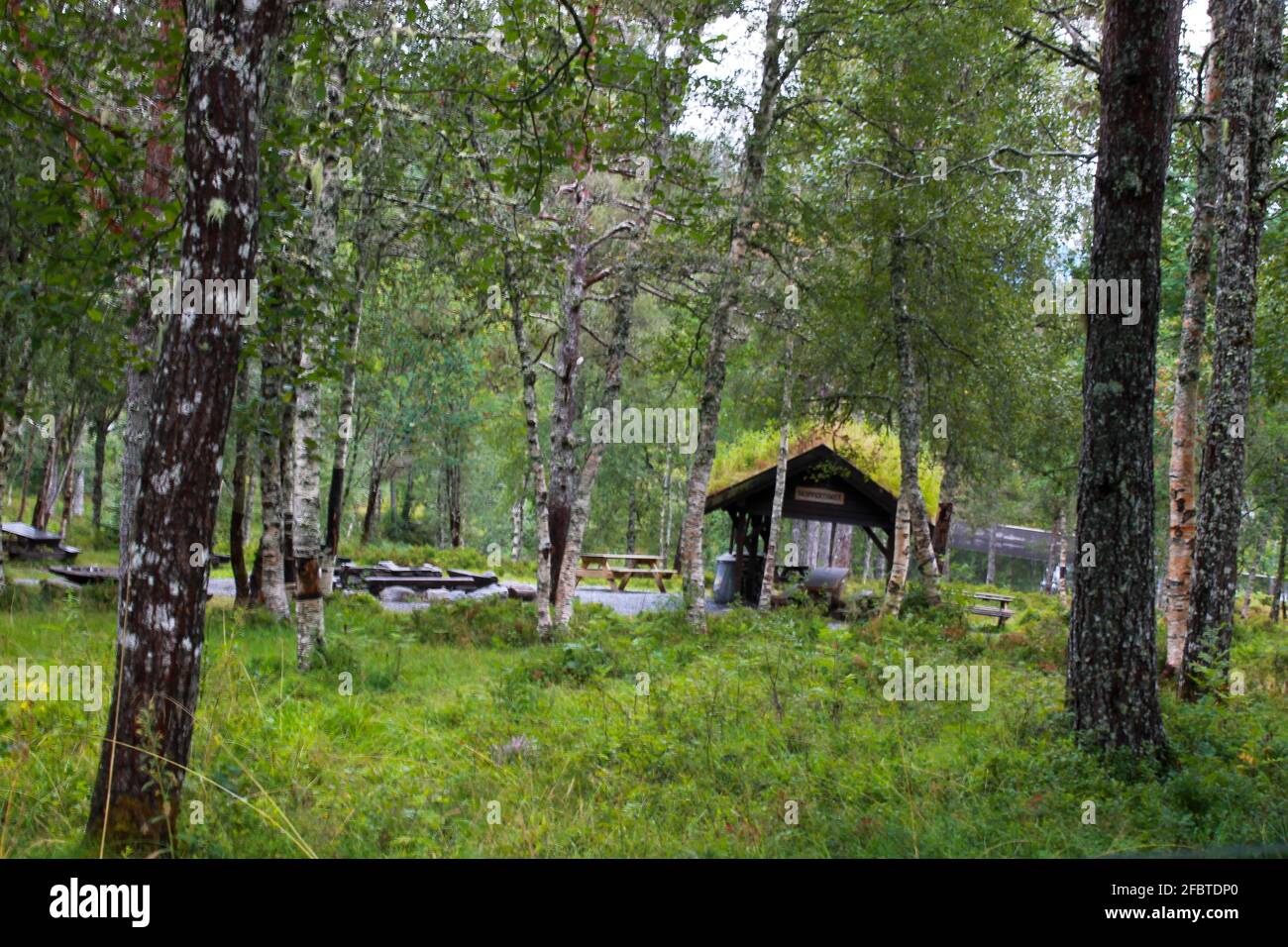 Ein schöner Picknick- und Grillplatz Stockfoto
