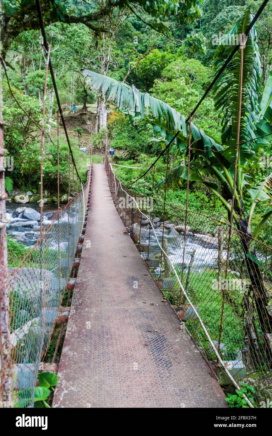 Hängebrücke über den Fluss Caldera in der Nähe von Boquete Panama, auf dem Wanderweg Lost Waterfalls. Stockfoto