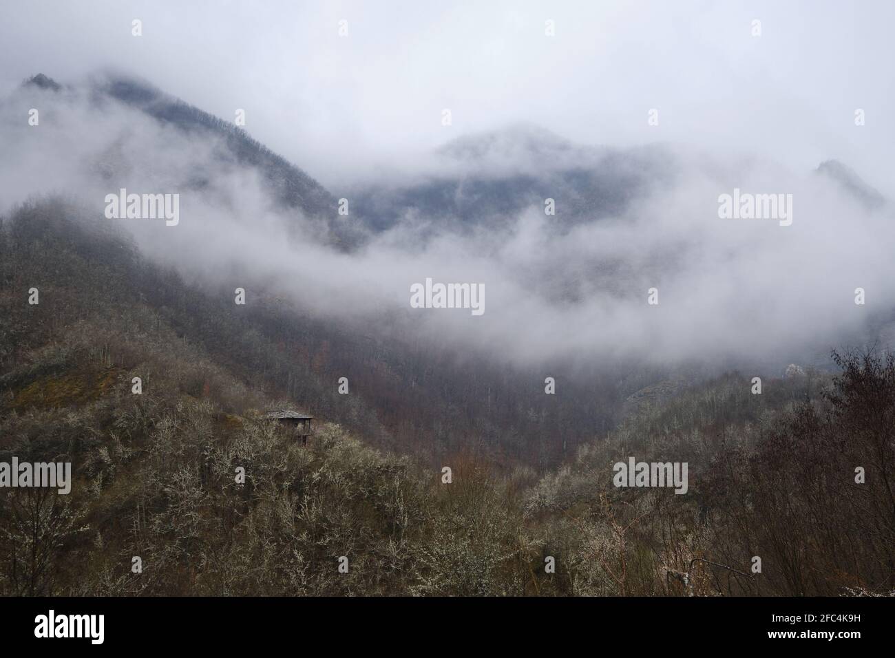 Einfamilienhaus auf einem Hügel in der Mitte eines Nebelwald an einem Wintermorgen Stockfoto