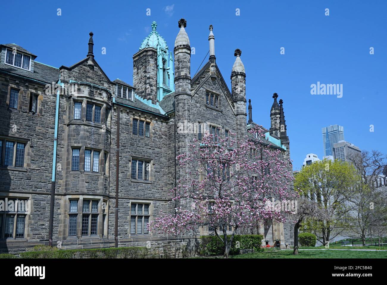 Toronto, Kanada - 23. April 2021: Trinity College, ein traditionelles gotisches Steingebäude an der Universität von Toronto, mit Frühlingsblumen auf dem College Stockfoto