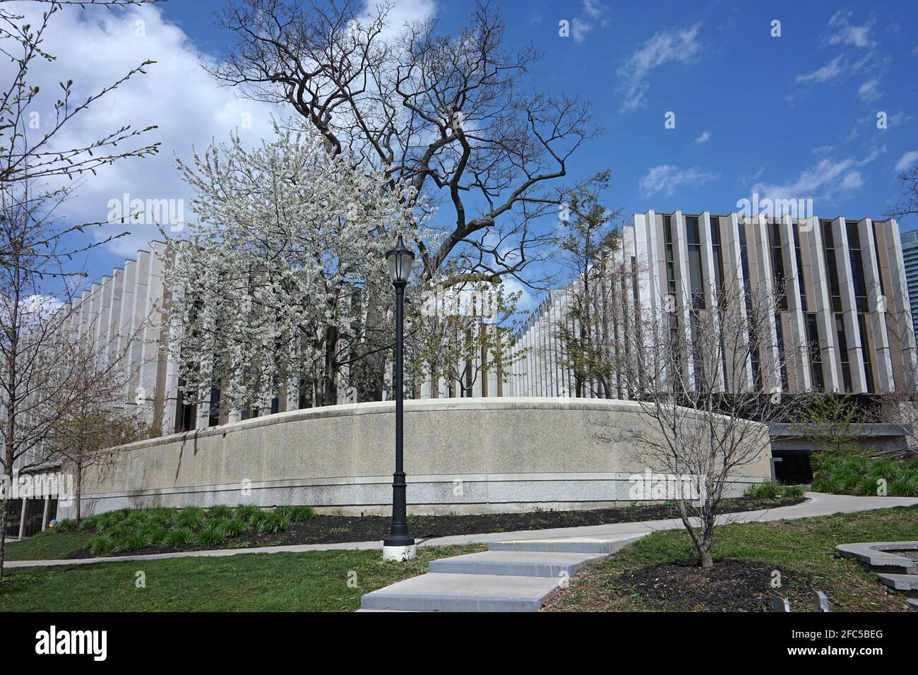 Toronto, Kanada - 23. April 2021: Das Law School Building der Universität Toronto, mit einem Baum mit Frühlingsblumen. Stockfoto