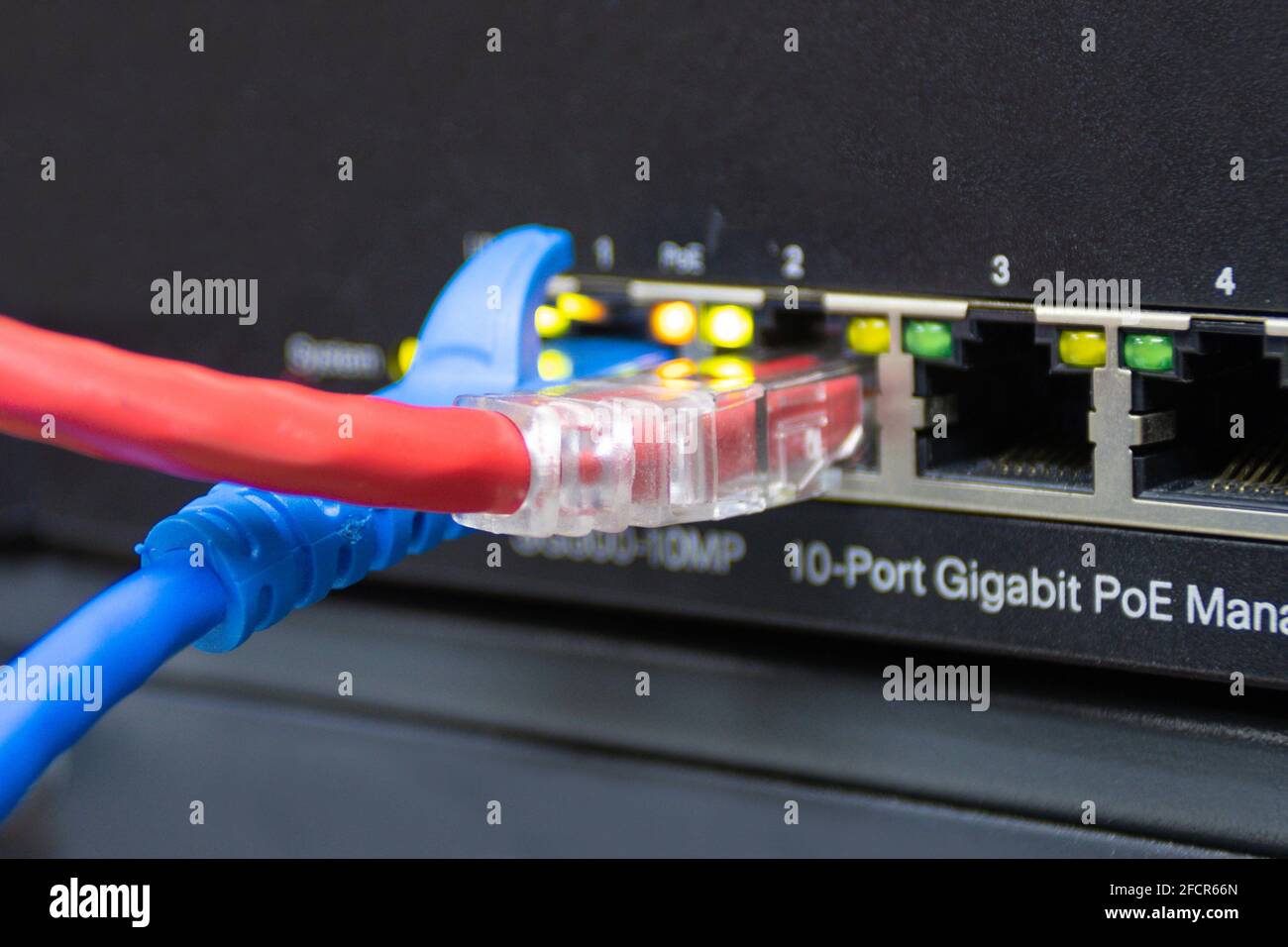 Kabelnetzwerkverbindung zum Switch-Port im Serverraum, Konzept Netzwerkverwaltung Stockfoto