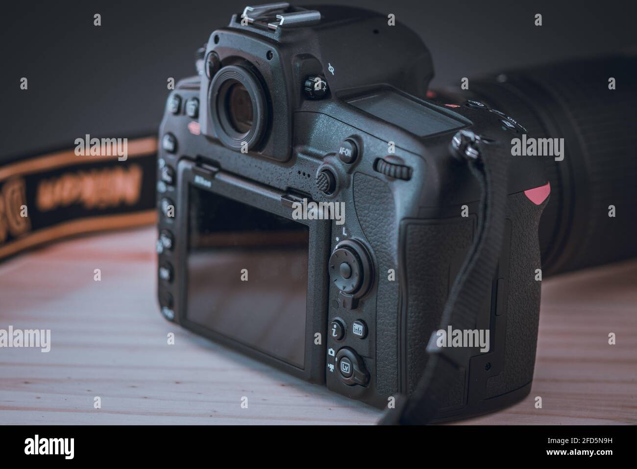 Moderne DSLR mit Touch-Display, BSI CMOS-Sensor ohne optischen Tiefpassfilter mit EXPEED 5 Prozessor, mit extrem strapazierfähigem Teppich Stockfoto