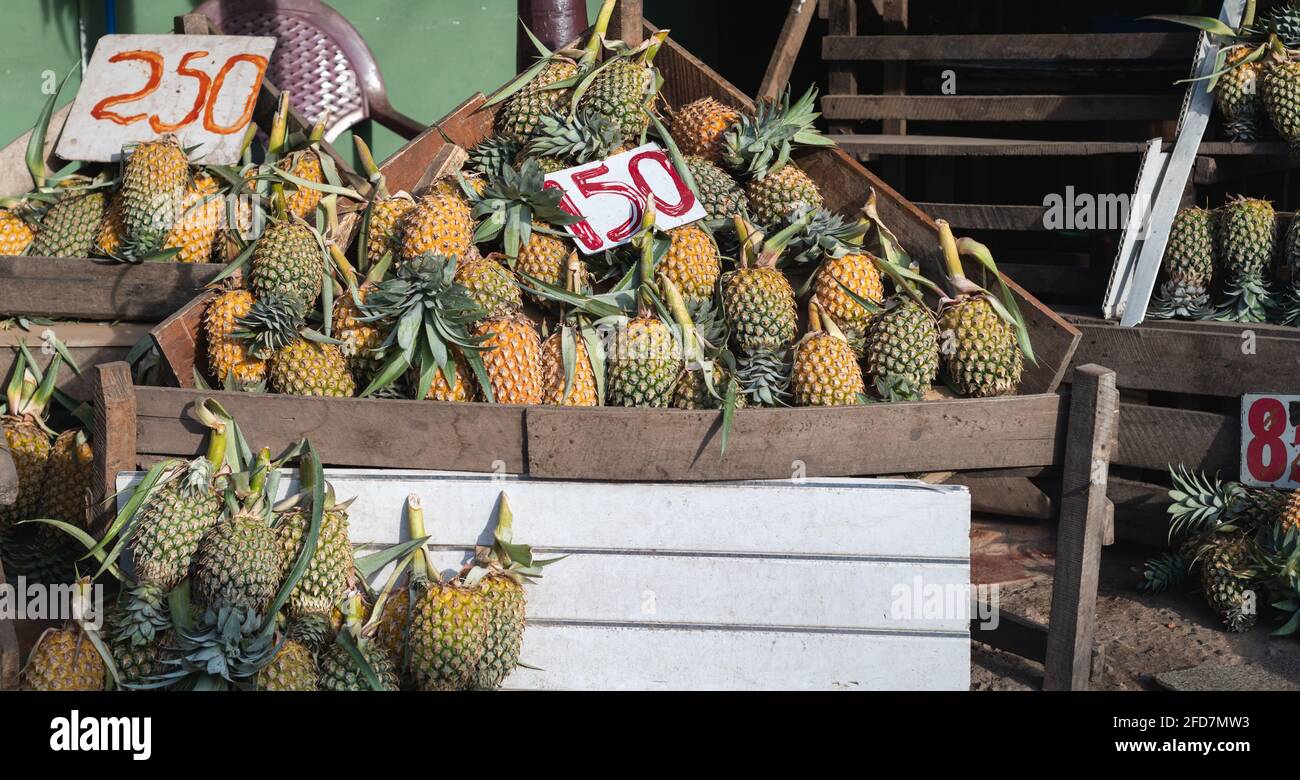 Kleinunternehmen auf den Straßen, Ananasstände und ermäßigte Preise. Stockfoto