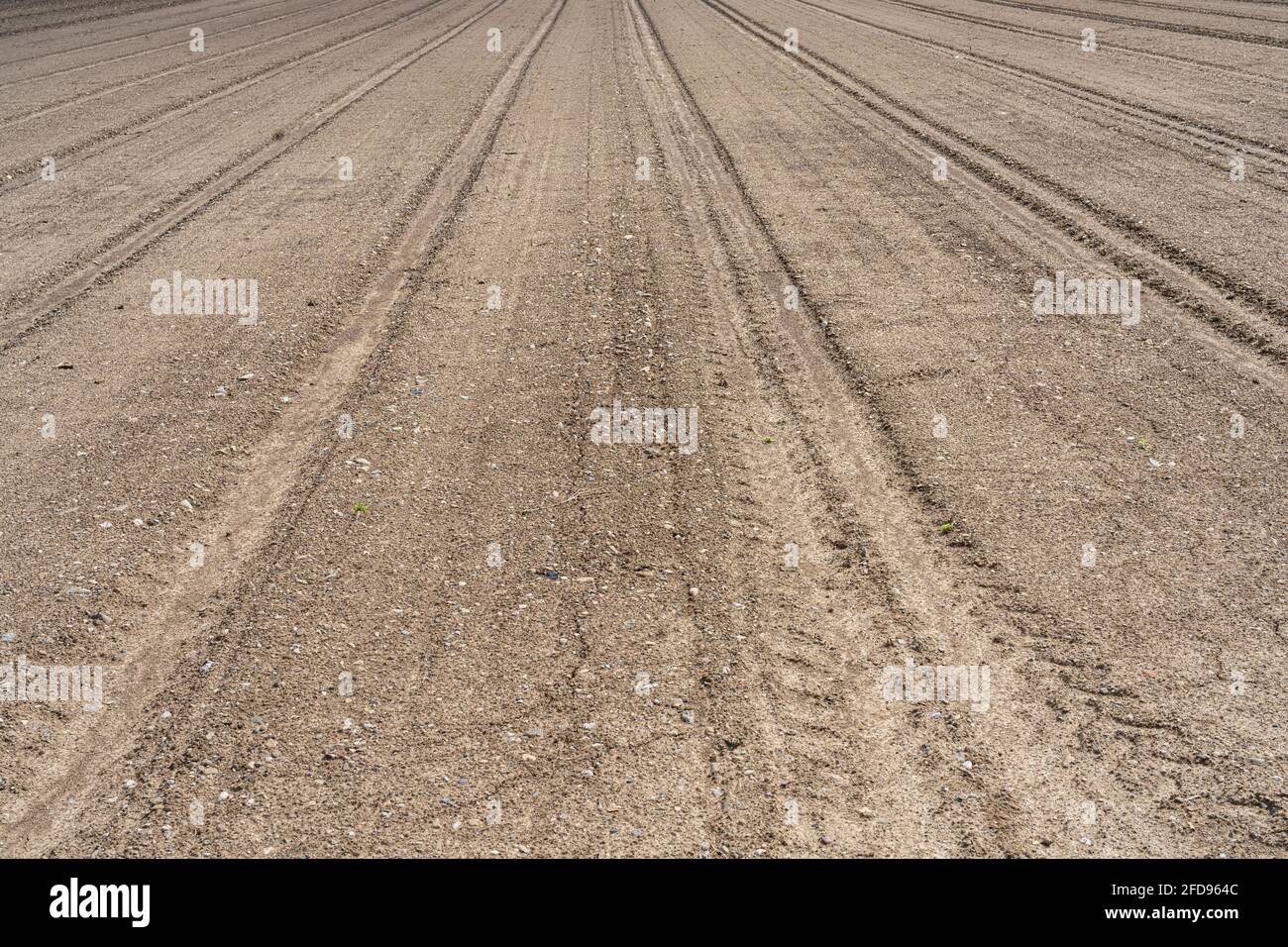 Blick auf den Boden eines gepflügten und gepressten Feldes, bereit für die Aussaat im Frühjahr Stockfoto