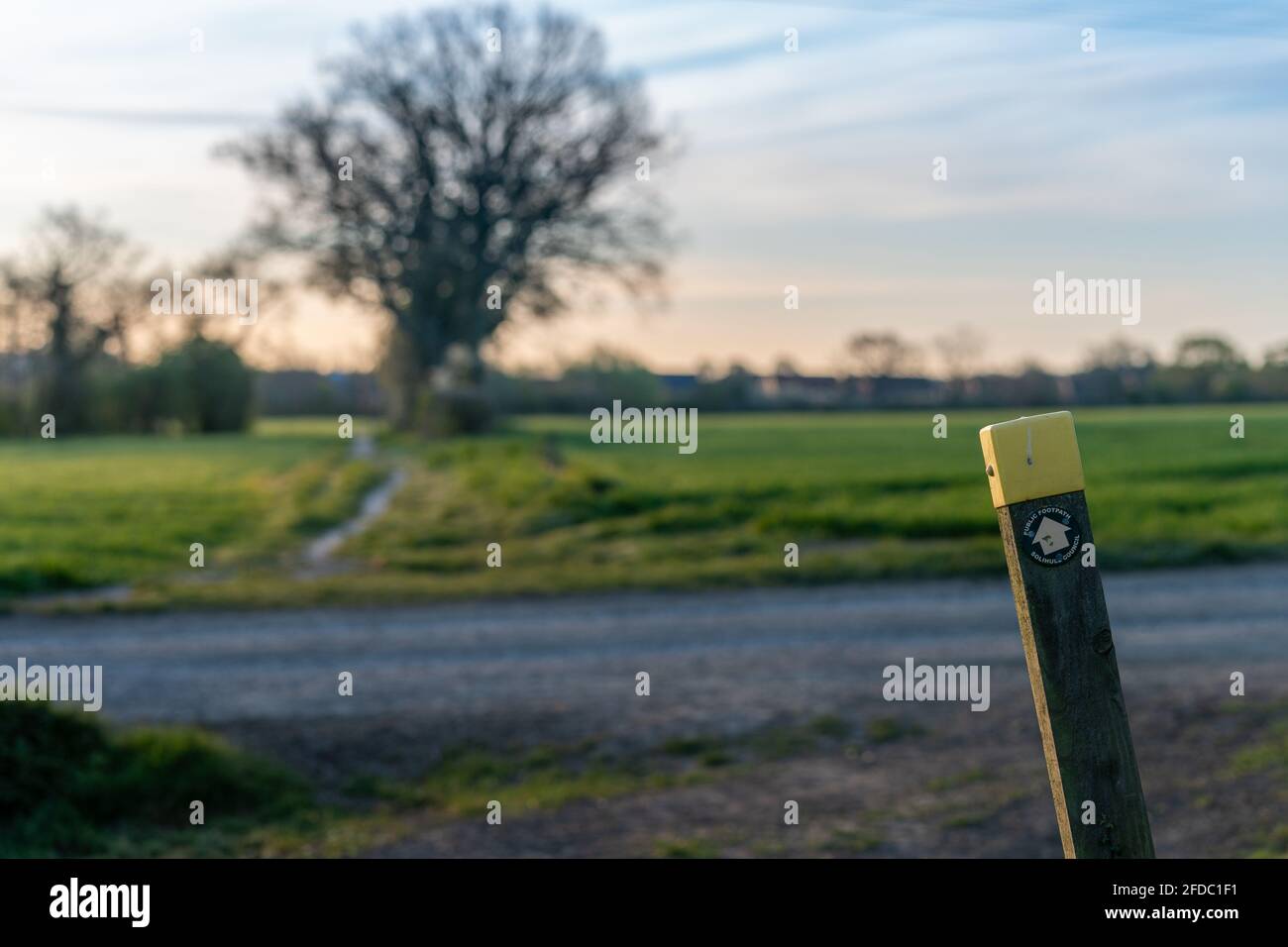 Öffentliches Wegzeichen, das auf einen einsamen Baum im Sonnenaufgang zeigt Stockfoto