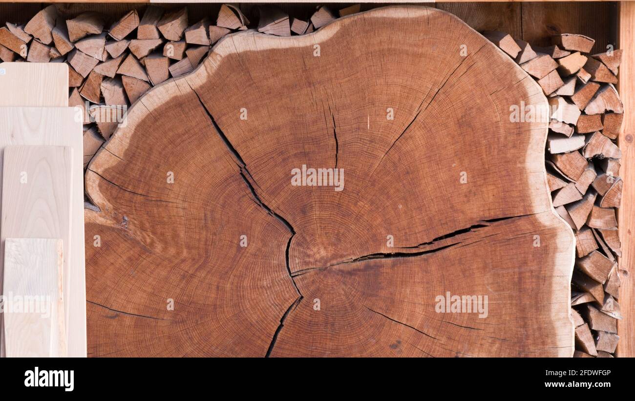 Querschnitt eines Baumstammes mit gestapeltem Brennholz unter dem Dach Stockfoto