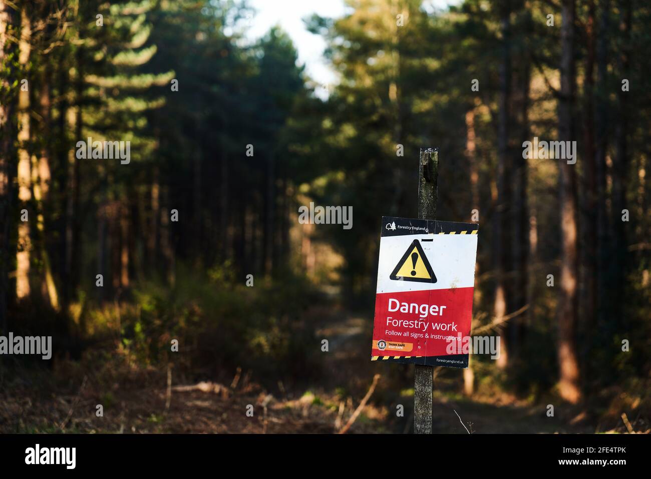 Gefahr Waldarbeit Warnschilder in einem Wald in Sussex Stockfoto