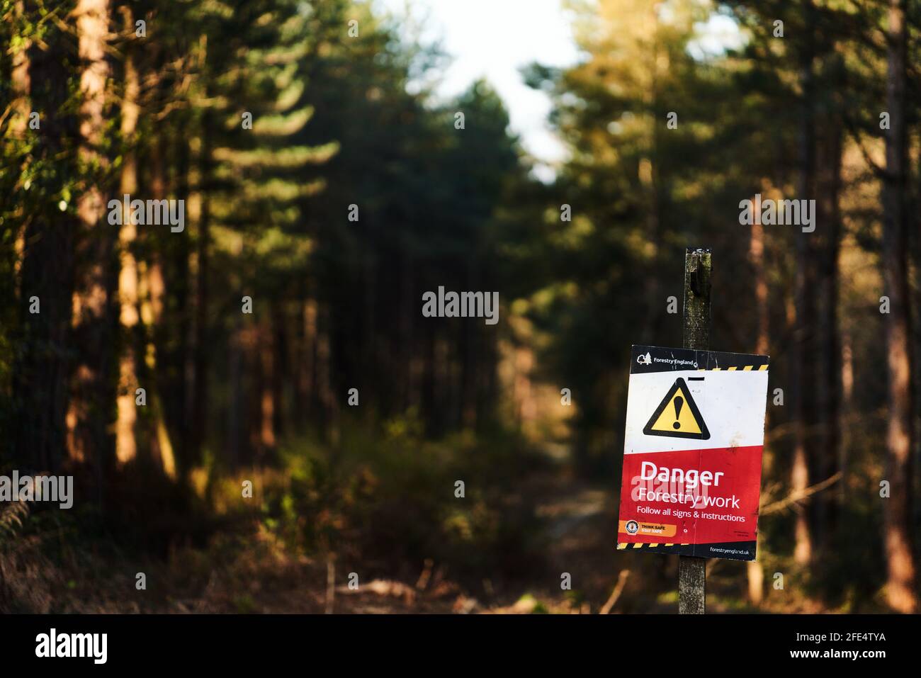 Gefahr Waldarbeit Warnschilder in einem Wald in Sussex Stockfoto