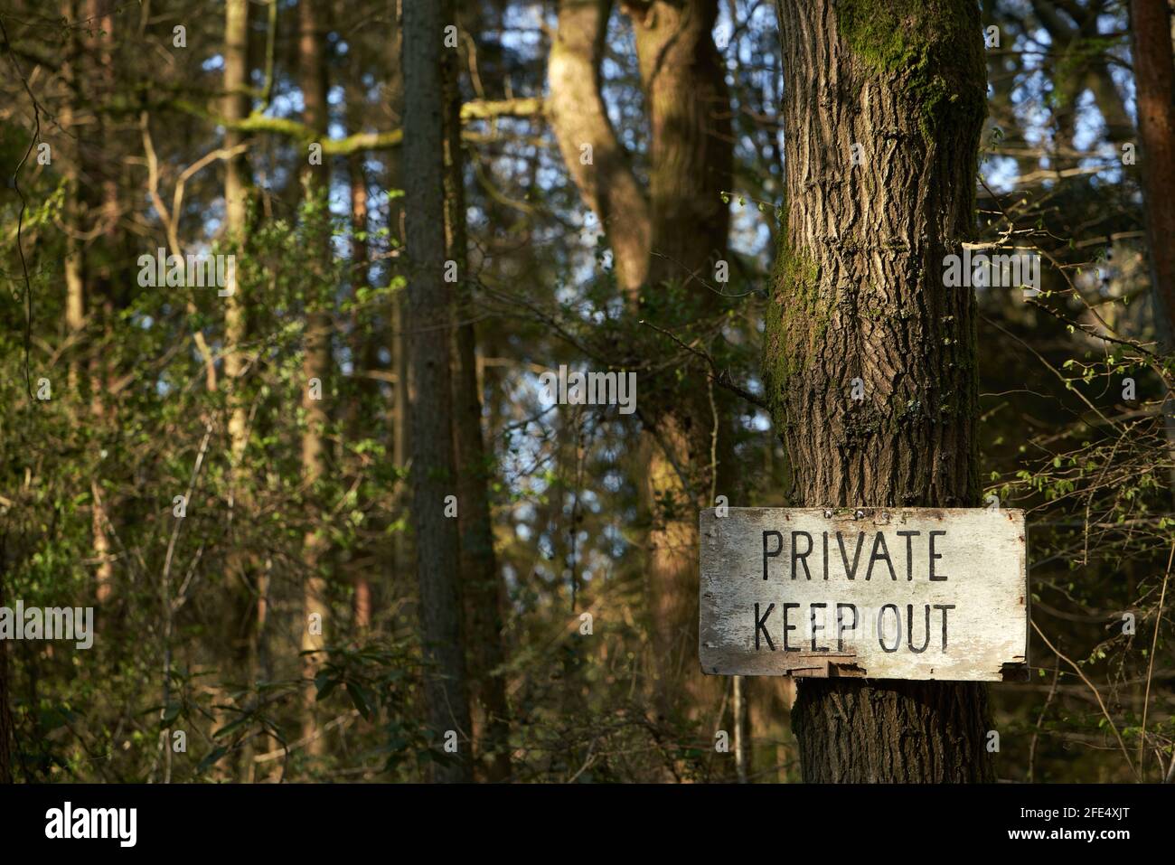 Privates Keep-Out-Schild am Rande von Woodland in Sussex, Großbritannien Stockfoto