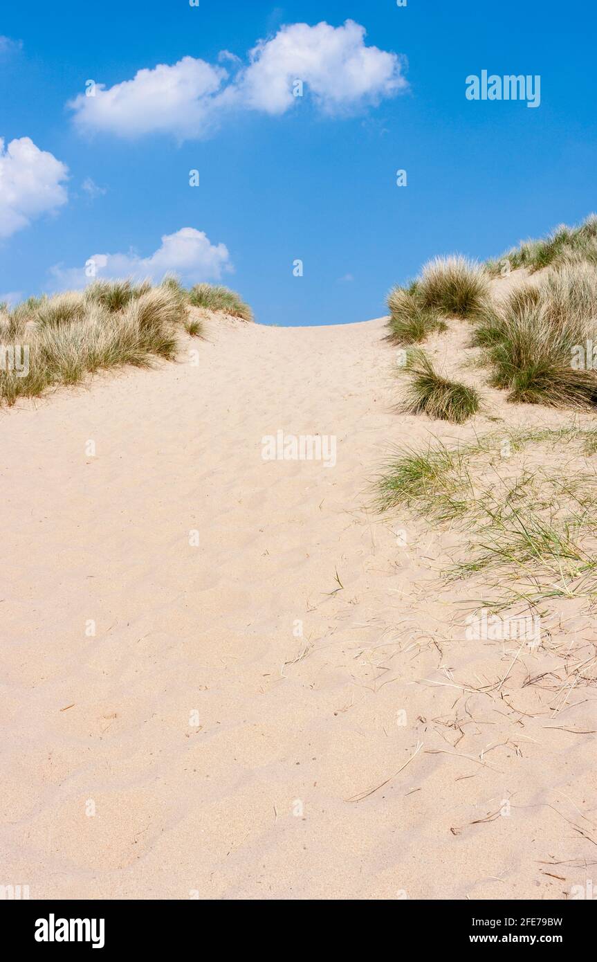 Eine steile Sanddünen an einem sonnigen Tag am Strand von Burnham Overy Staith, Norfolk, Großbritannien. Stockfoto