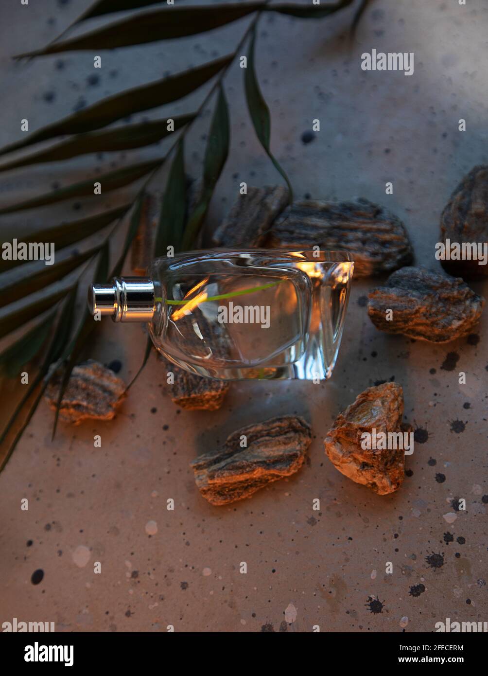 Damen- oder Herrenparfüm in einer schönen Glasflasche mit natürlichem Dekor auf Beton. Duftkonzept Stockfoto