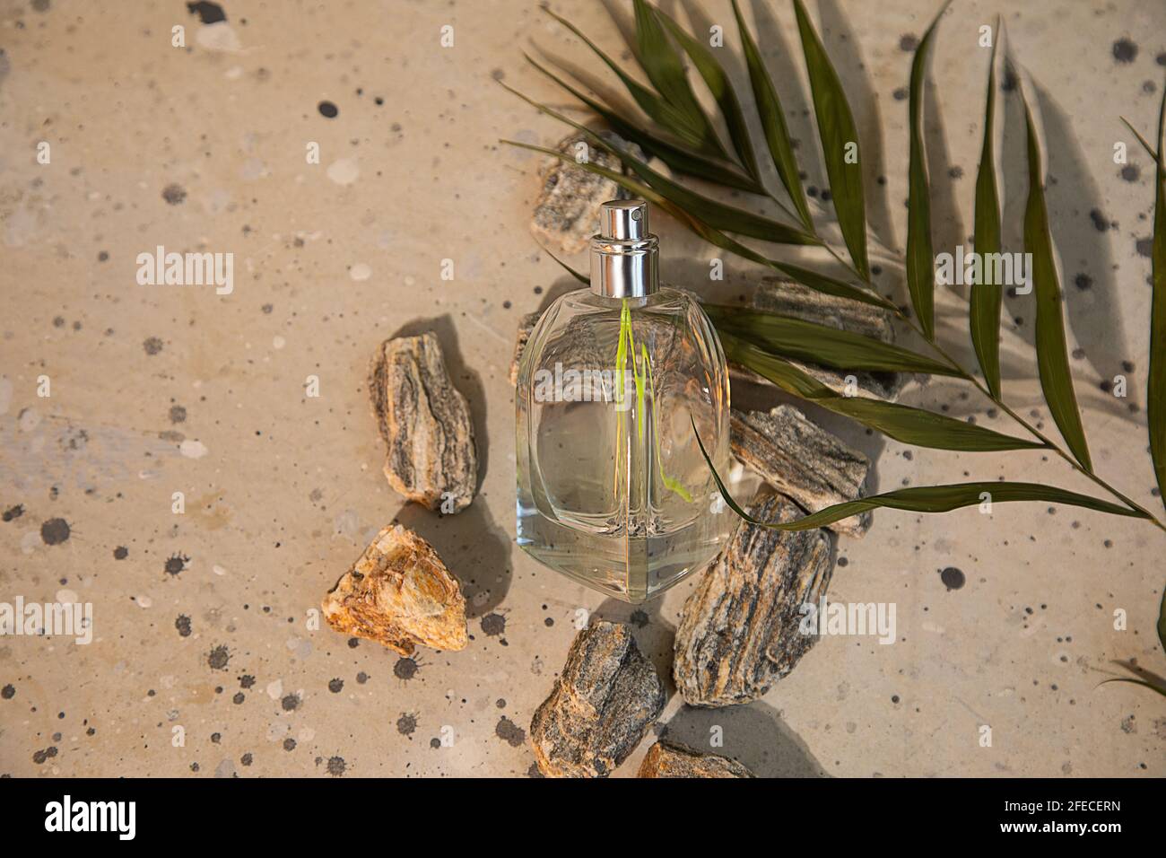 Damen- oder Herrenparfüm in einer schönen Glasflasche mit natürlichem Dekor auf Beton. Duftkonzept. Nahaufnahme Stockfoto