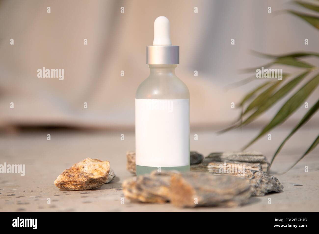 Wunderschöne Aufnahme einer weißen Glasflasche mit Pipette und Serum auf natürlichem Hintergrund. Gesichtspflege, Feuchtigkeitscreme-Konzept. Modisches kosmetisches Produkt Stockfoto