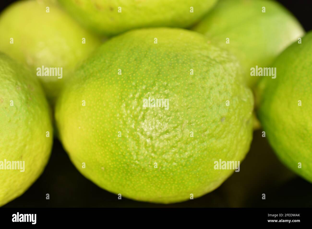 Mehrere grüne reife Limetten, Nahaufnahme, auf schwarzem Hintergrund. Stockfoto