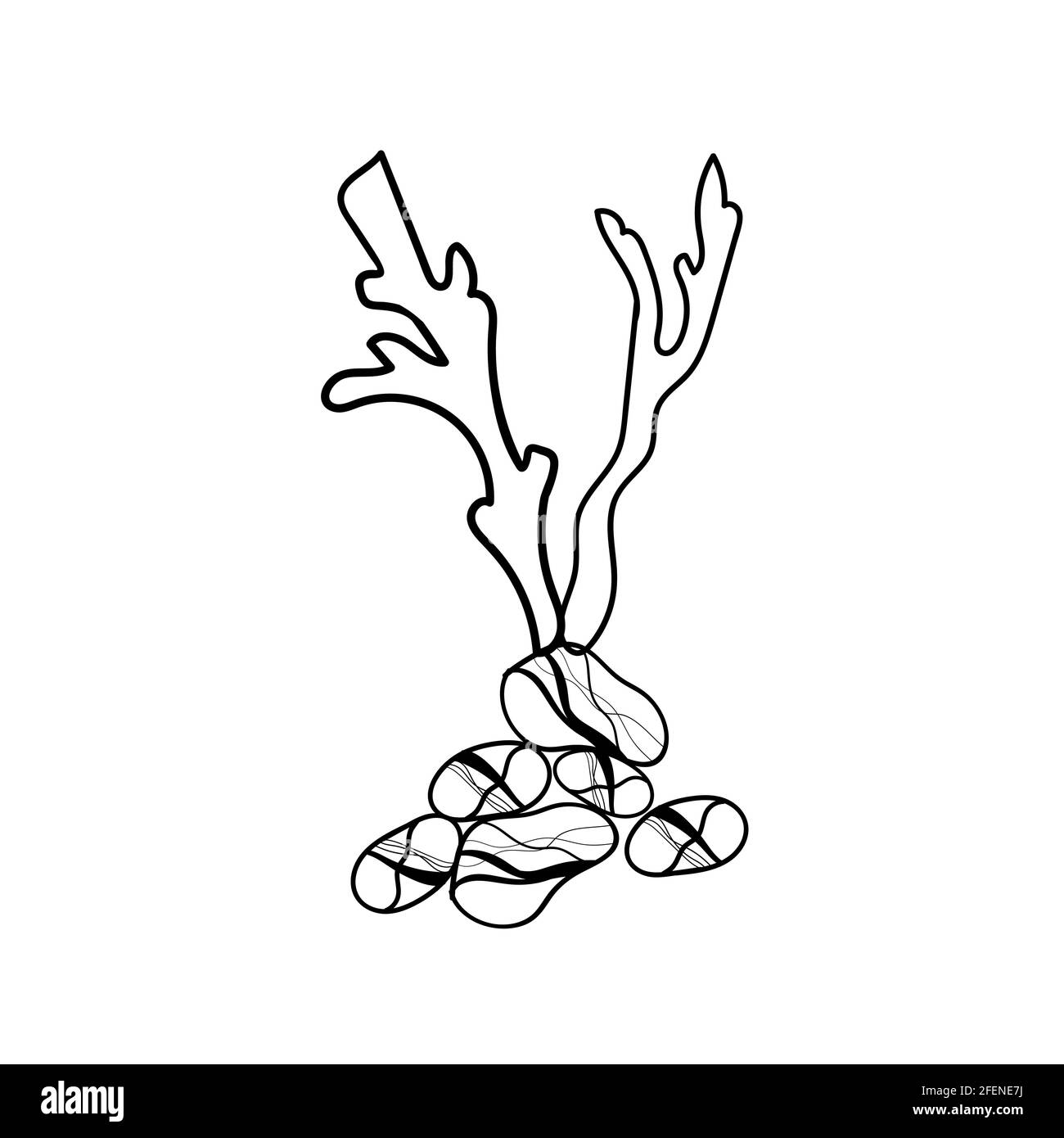 Vektor-Komposition von Korallen und Steinen Linie Kunst Stock Vektor