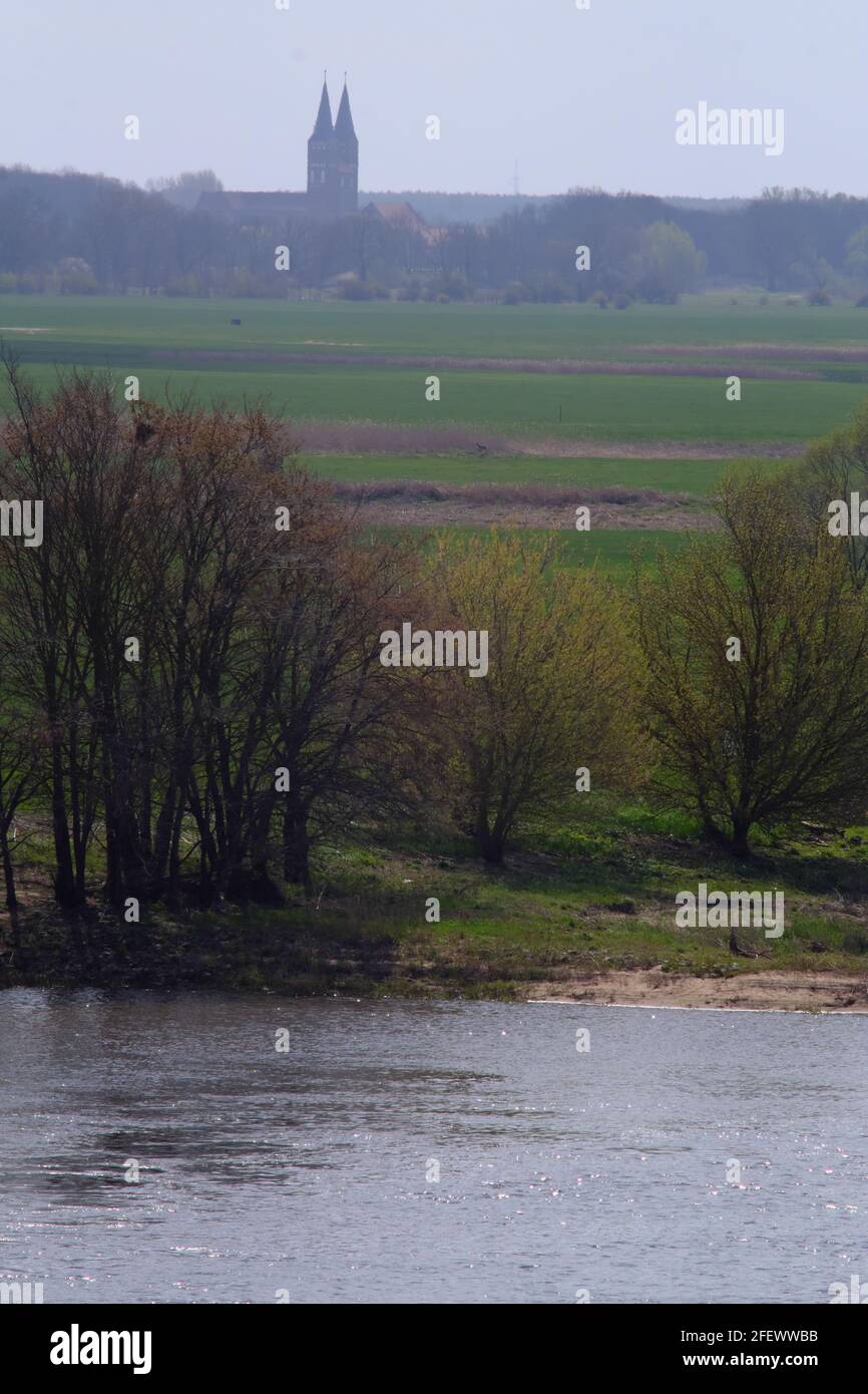 Von Tangermünde aus, mit der Elbe im Vordergrund und einem Hirsch in der Mitte. Stockfoto