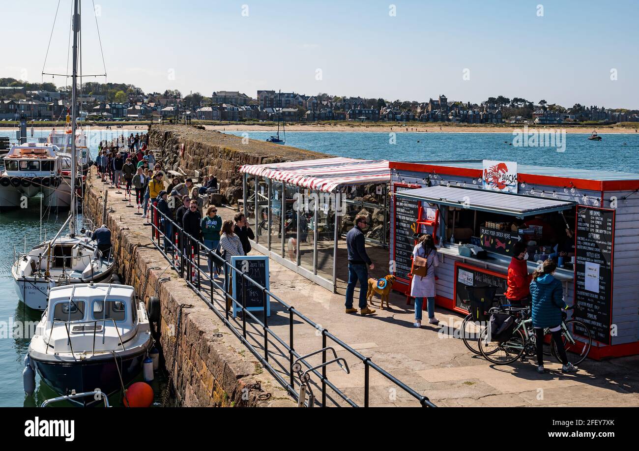 North Berwick, East Lothian, Schottland, Großbritannien, 24. April 2021. UK Wetter: Sonnenschein am Meer: Das sonnige Wetter bringt Menschenmassen in die Küstenstadt, trotz der kühlen Brise, die aus der Nordsee hereinweht. Es gibt lange Warteschlangen an Imbissbuden, da die Menschen die Lockerung der Sperrbeschränkungen genießen. Im Bild: Eine sehr lange Schlange am Hafen, um den beliebten Lobster Shack zum Mitnehmen zu nehmen Stockfoto