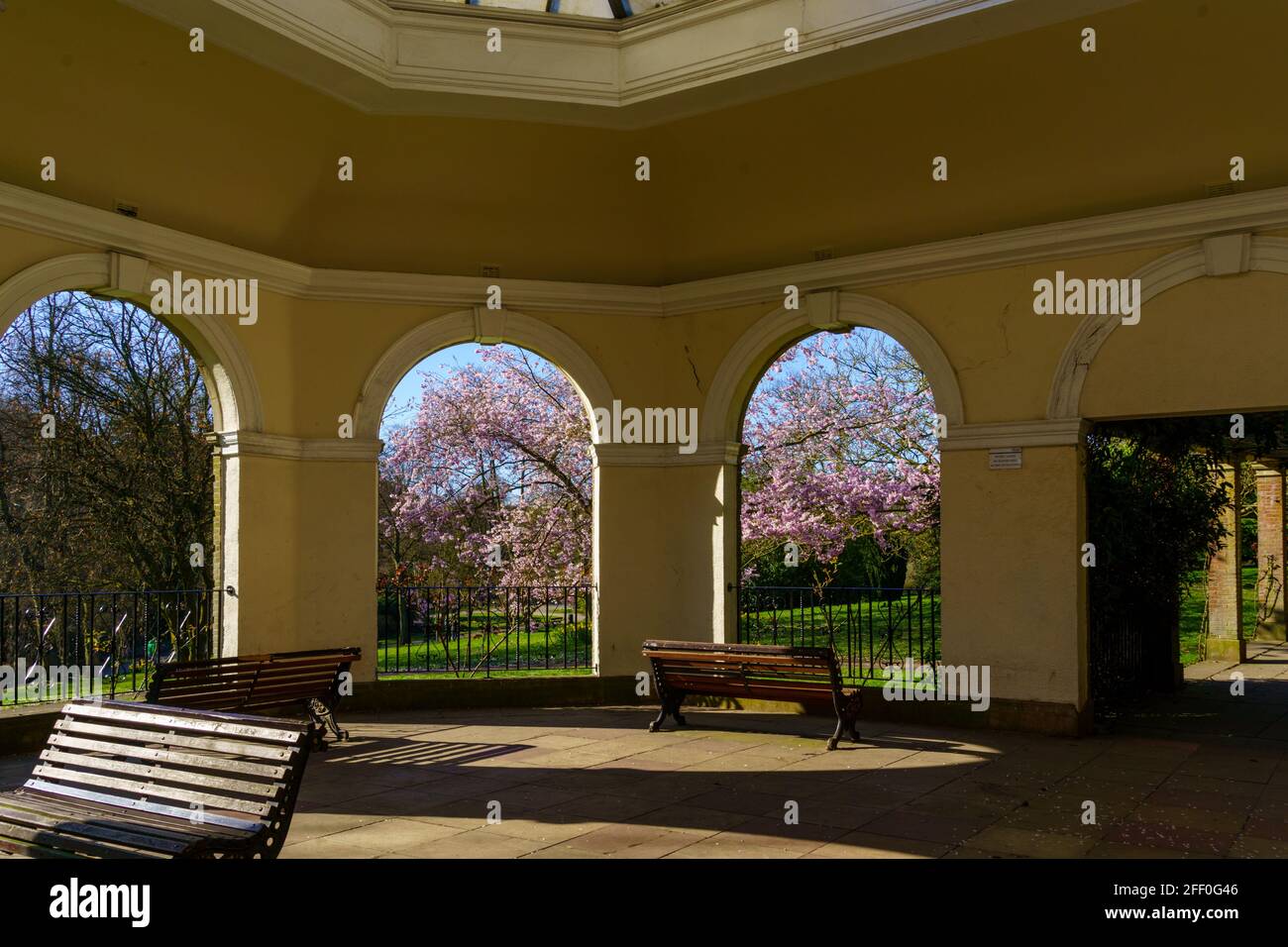 Pink Cherry Blossoms in Full Bloom in Valley Gardens, Harrogate, durch Two Arches of the Sun Pavilion Colonnade, North Yorkshire, England, Großbritannien. Stockfoto