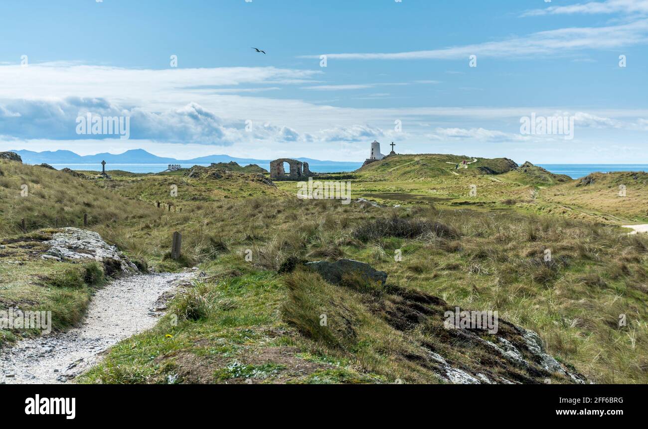 Blick auf die Insel Llanddwyn mit dem Leuchtturm Twr Mawr im Hintergrund, Anglesey, North Wales, Großbritannien. Aufgenommen am 12. April 2021. Stockfoto