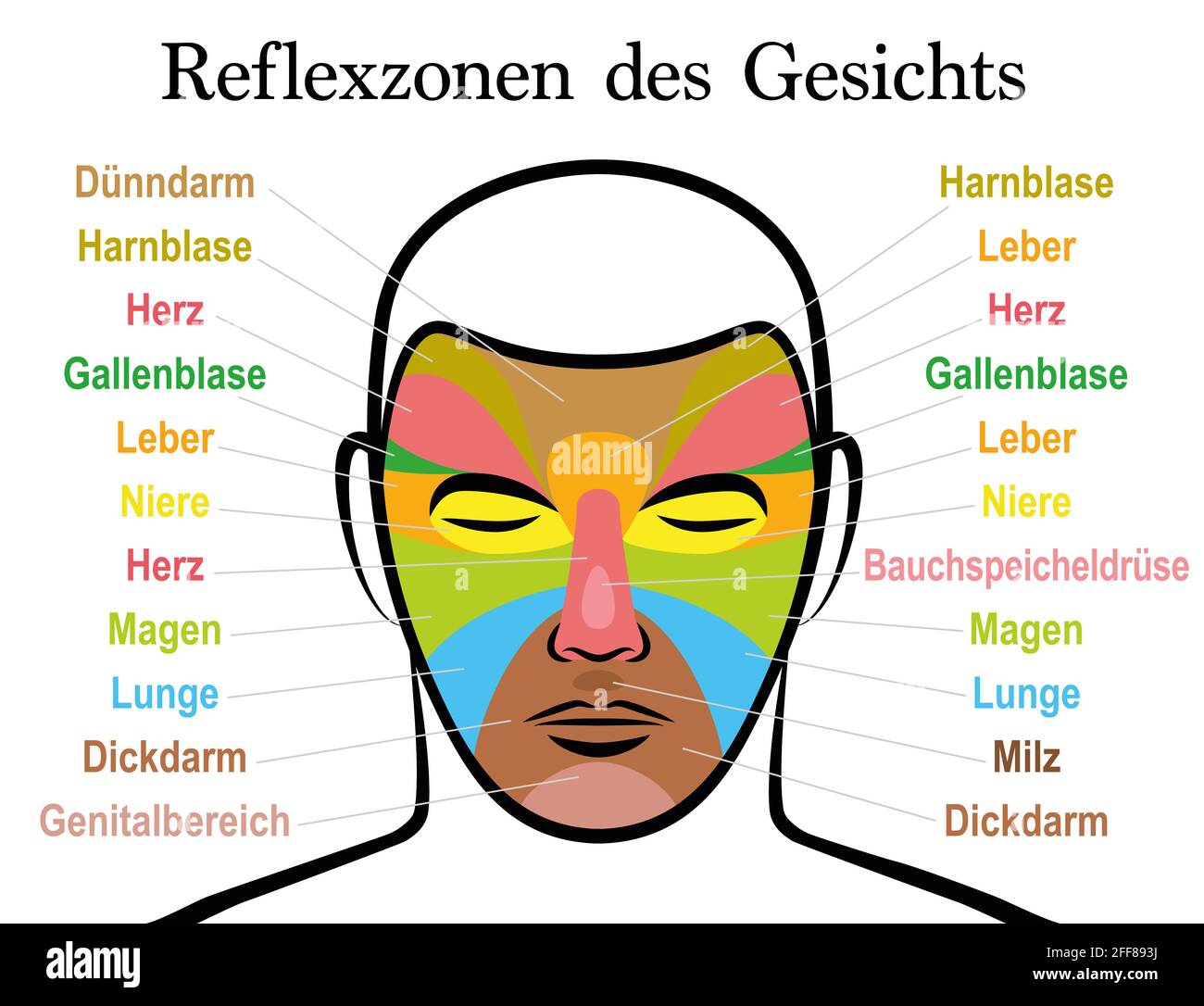 Gesichtsreflexzonendiagramm, deutscher Text. Alternative Akupressur und Physiotherapie Gesundheitsbehandlung. Massagetabelle mit farbigen Bereichen und Namen. Stockfoto