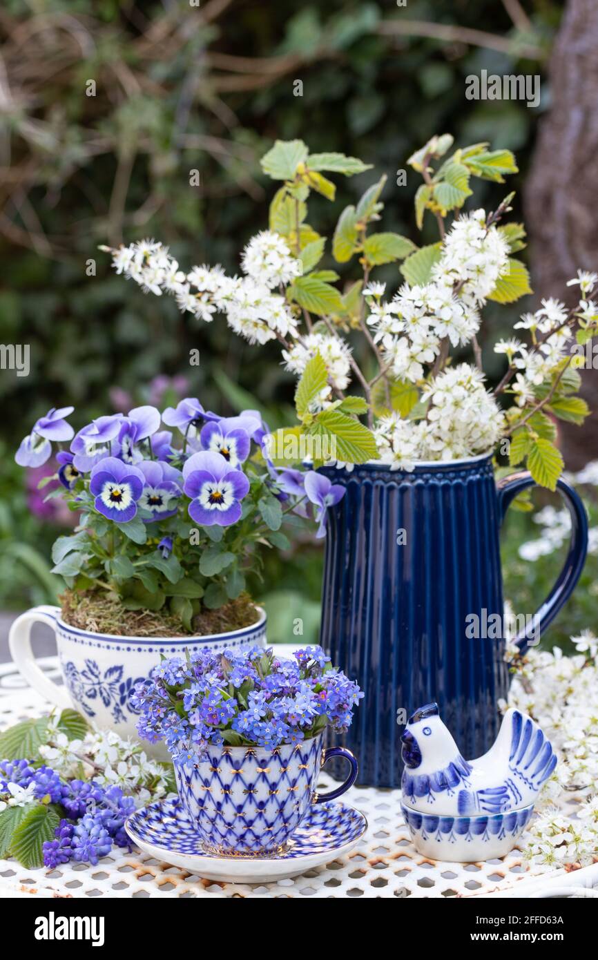 Frühlingsdekoration mit Vergiss mich nicht Blumen, Viola Blume und weiß blauem Porzellan Stockfoto