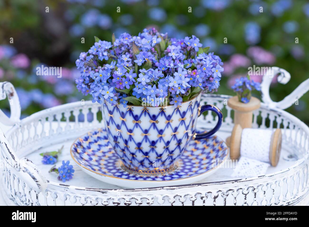 Bouquet von Vergiss mich nicht Blumen in Vintage-Kaffeetasse Als Frühlingsdekoration Stockfoto