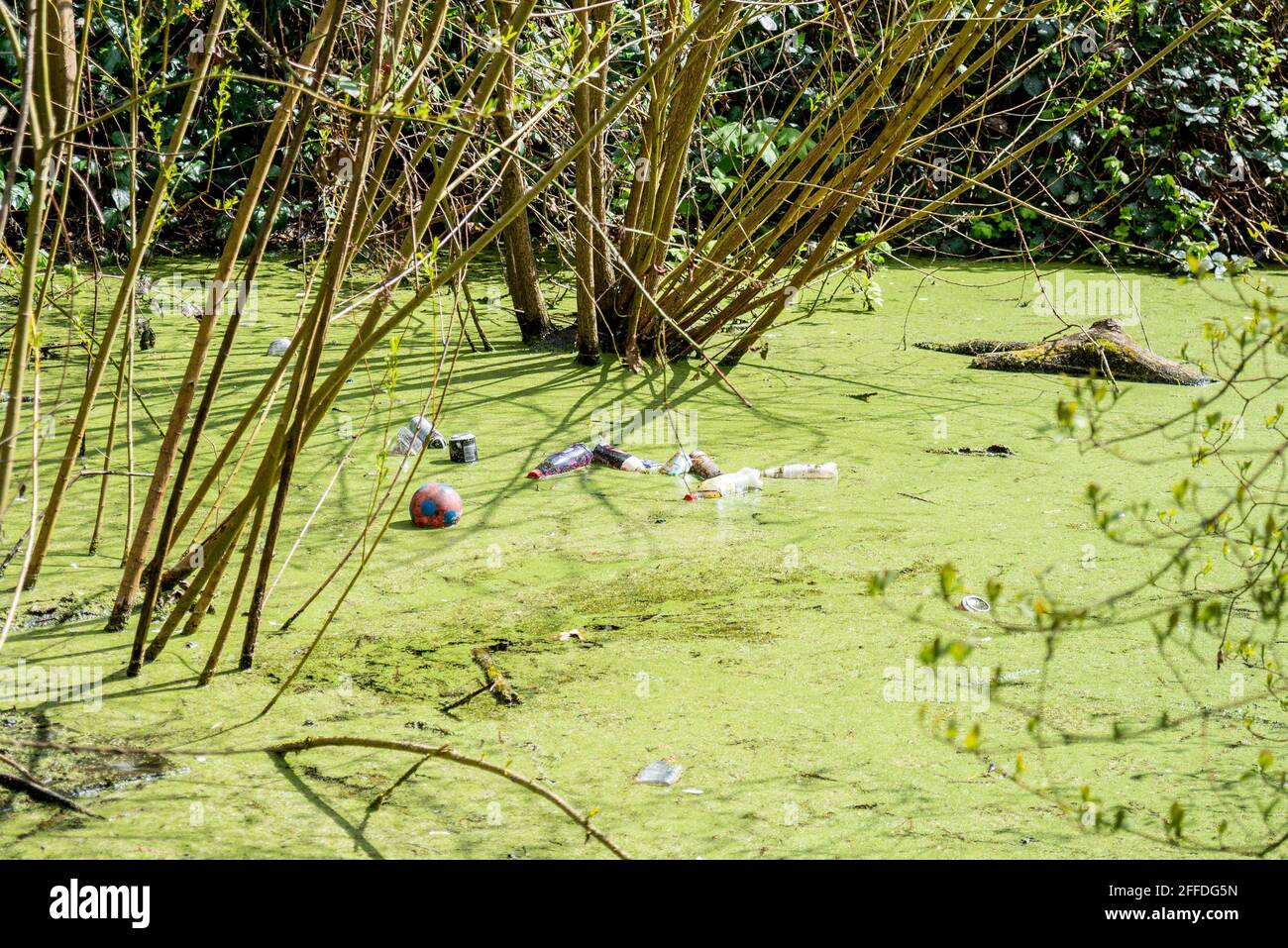 Müll, Müll, der in einem Teich in Churchill Gardens in Southend on Sea, Essex, Großbritannien, weggeworfen wird. Verschmutzung von Kunststoffabfällen. Umweltschäden Stockfoto