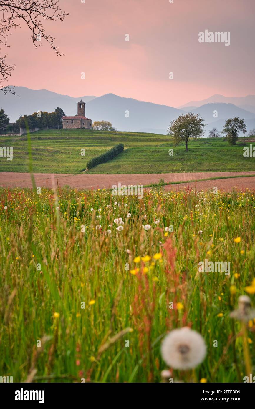 Landschaft im Frühling mit gelben und weißen Blumen und einer kleinen alten Kirche, Kloster Garbagnate, Lecco, Lombardei, Italien Stockfoto