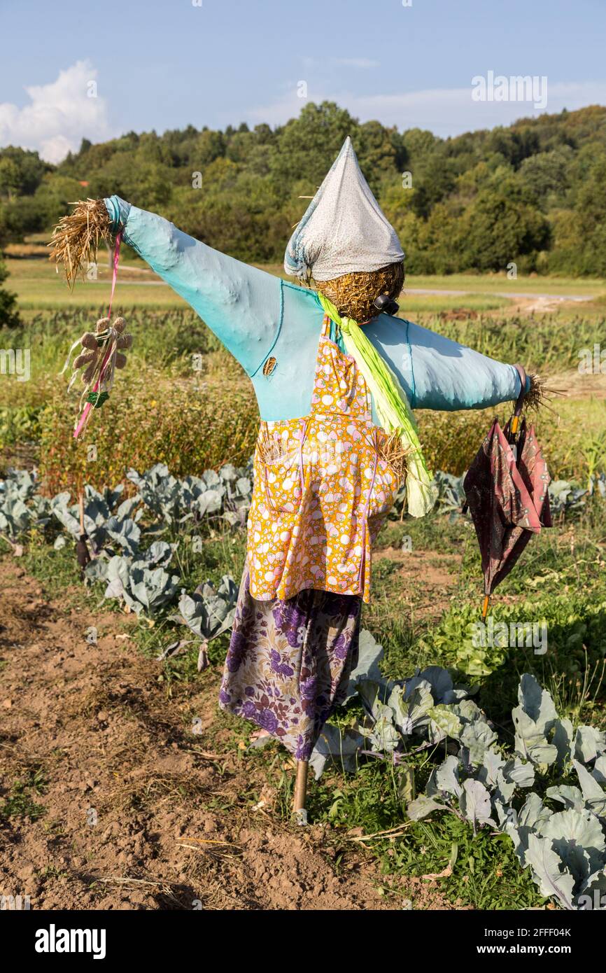 Vogelscheuche auf Gemüsegarten, Cernica, Slowenien Stockfoto
