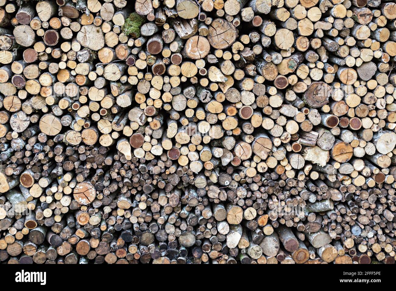 Holzmuster in Holzstapel gestapelt, Studor V Bohinju, Srednja Vas V Bohinju, Slowenien Stockfoto