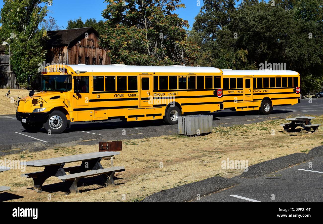 Schulbusse vom Clovis Unified School District in einem Park In Kalifornien Stockfoto