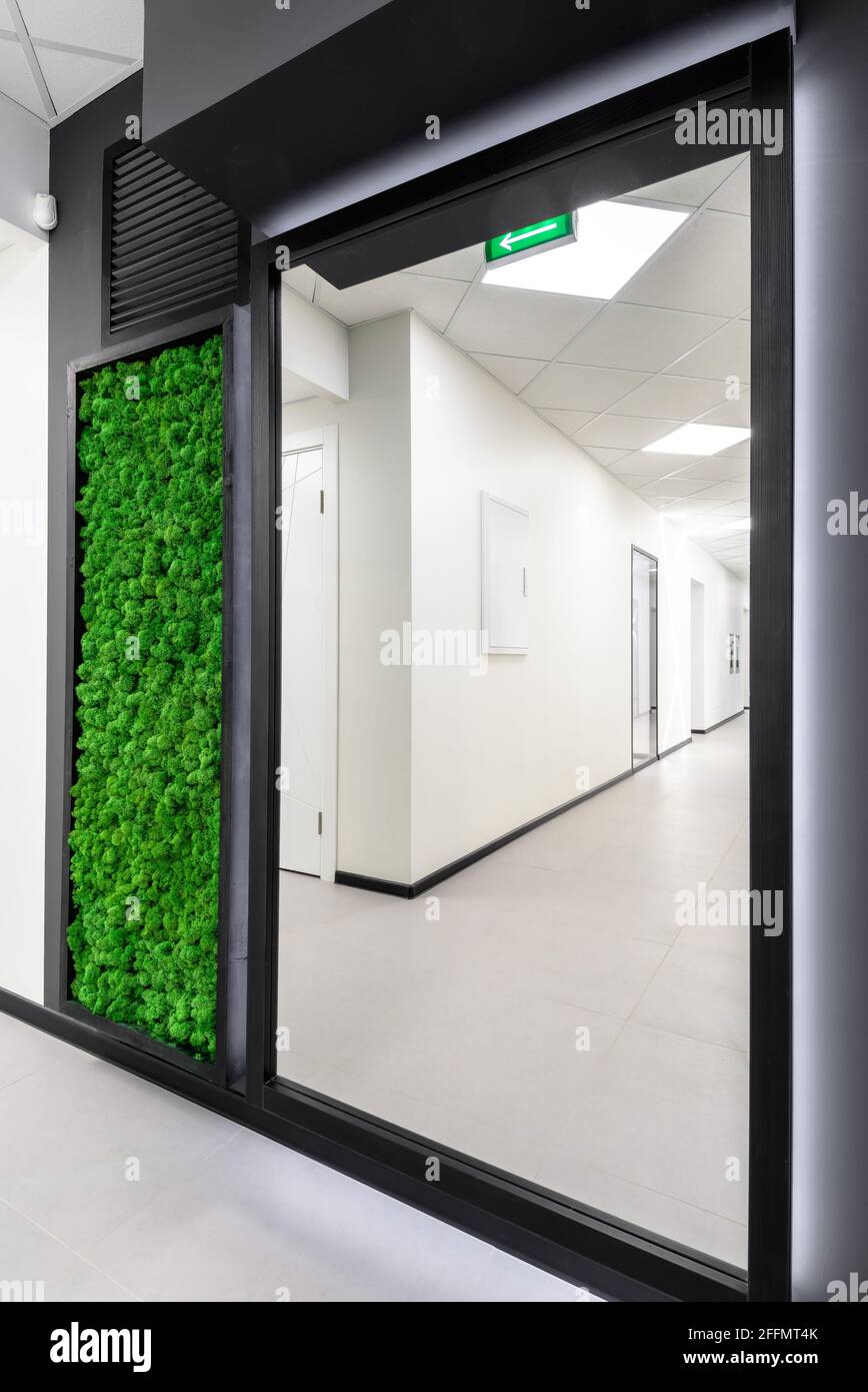 Büroeinrichtung mit vertikalem Garten. Grüne Mooswand im sauberen Flur des Geschäftsgebäudes. Minimalistisches Innendesign mit Spiegel und Landschaftsgestaltung. Stockfoto