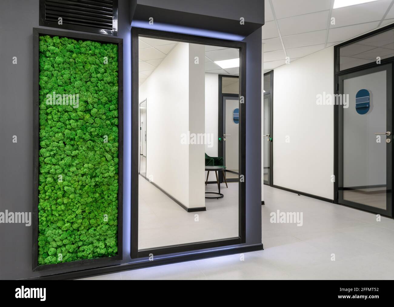 Büroeinrichtung mit vertikalem Garten. Grüne Mooswand im sauberen Flur des Geschäftsgebäudes. Minimalistisches Innendesign mit Spiegel und Landschaftsgestaltung. Stockfoto